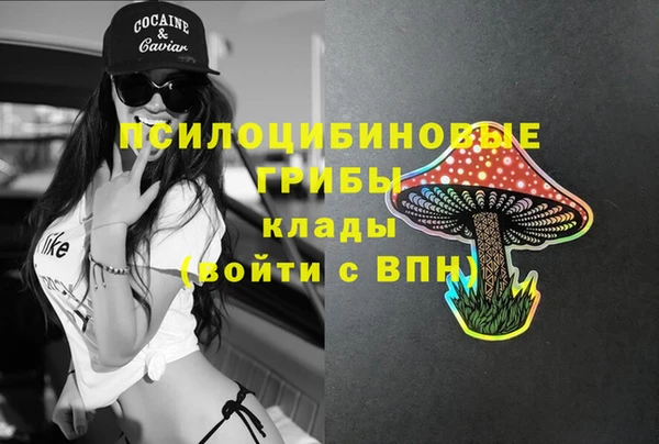 первитин Арсеньев